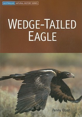 Wedge-tailed Eagle(English, Paperback, Olsen Penny)