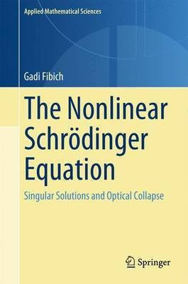 The Nonlinear Schroedinger Equation(English, Hardcover, Fibich Gadi)