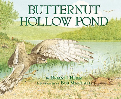 Butternut Hollow Pond(English, Paperback, Heinz Brian)