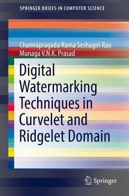 Digital Watermarking Techniques in Curvelet and Ridgelet Domain(English, Paperback, Rao Channapragada Rama Seshagiri)