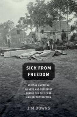 Sick from Freedom(English, Hardcover, Downs Jim)