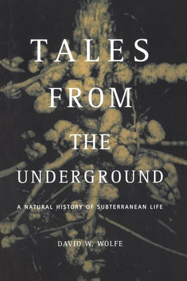 Tales From The Underground(English, Paperback, Wolfe David)