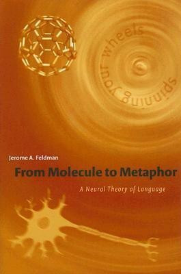 From Molecule to Metaphor  - A Neural Theory of Language(English, Hardcover, Feldman Jerome)