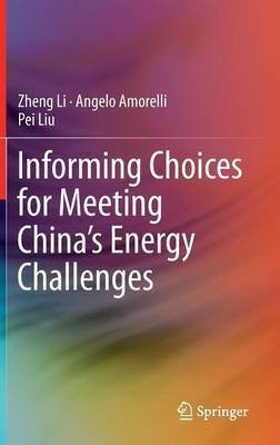 Informing Choices for Meeting China's Energy Challenges(English, Hardcover, Li Zheng)