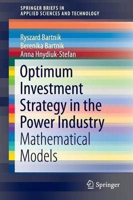 Optimum Investment Strategy in the Power Industry(English, Paperback, Bartnik Ryszard)