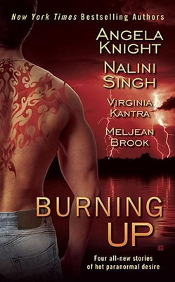 Burning Up(English, Paperback, Brook Meljean)