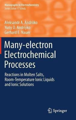 Many-electron Electrochemical Processes(English, Hardcover, Andriiko Aleksandr A.)