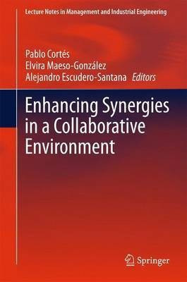 Enhancing Synergies in a Collaborative Environment(English, Hardcover, unknown)