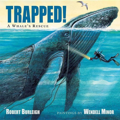 Trapped! A Whale's Rescue(English, Hardcover, Burleigh Robert)