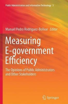 Measuring E-government Efficiency(English, Paperback, unknown)