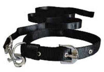 Hanu Dog Collar & Leash(35 - 50 cm, BLACK)