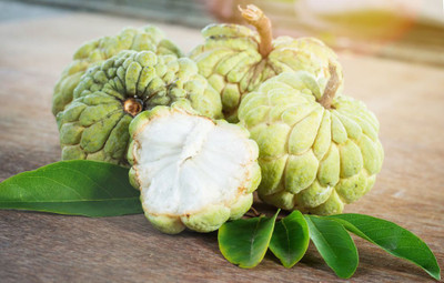 Paudha Custard Apple Hybrid Fruit Seed(36 per packet)