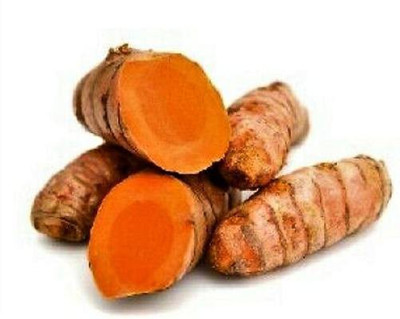 LYRS Turmeric / Haldi Seed Seed(2 per packet)