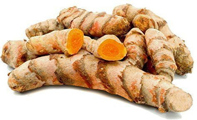 LYRS Turmeric Seed- 2 Seed(2 per packet)