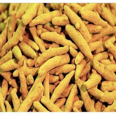LYRS Turmeric / Haldi Seed Seed(9 per packet)