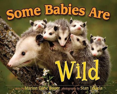 Some Babies Are Wild(English, Hardcover, Bauer Marion Dane)
