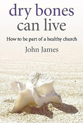 Dry Bones Can Live - How to be part of a healthy church(English, Paperback, James John)