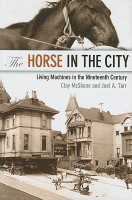 The Horse in the City(English, Hardcover, McShane Clay)