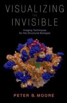 Visualizing the Invisible(English, Hardcover, Moore Peter)