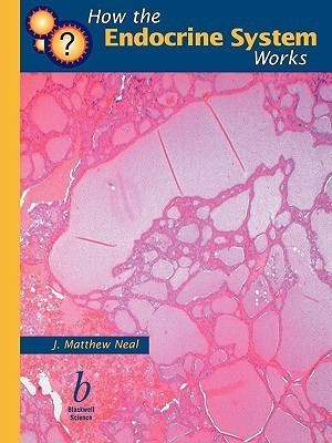 How the Endocrine System Works(English, Paperback, Neal J. Matthew)