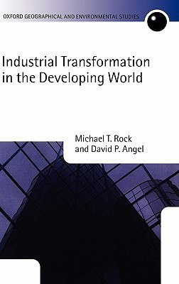 Industrial Transformation in the Developing World(English, Hardcover, Rock Michael T.)