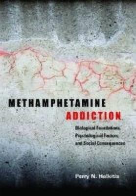 Methamphetamine Addiction(English, Hardcover, unknown)