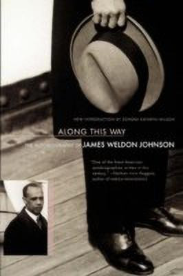 Along This Way(English, Paperback, Johnson James)