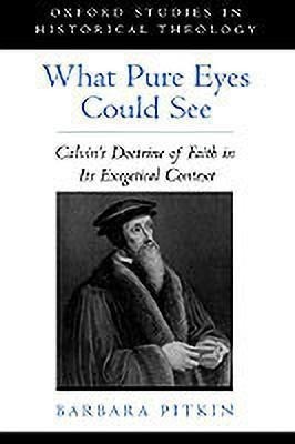 What Pure Eyes Could See(English, Hardcover, Pitkin Barbara)