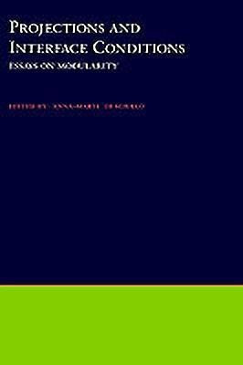 Projections and Interface Conditions(English, Hardcover, Sciullo Anna-Maria Di)