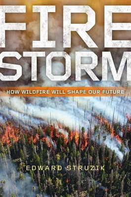 Firestorm(English, Hardcover, Struzik Edward)