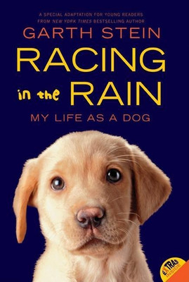 Racing in the Rain(English, Paperback, Stein Garth)