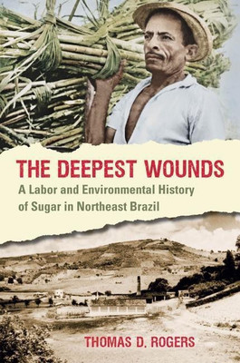 The Deepest Wounds(English, Paperback, Rogers Thomas D.)