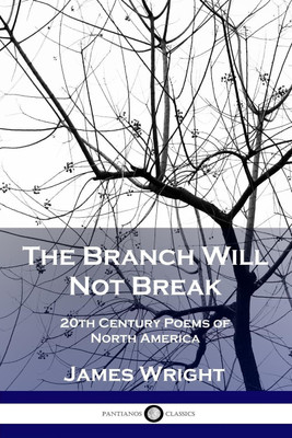 The Branch Will Not Break(English, Paperback, Wright James)