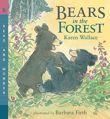 Bears in the Forest(English, Paperback, Wallace Karen)