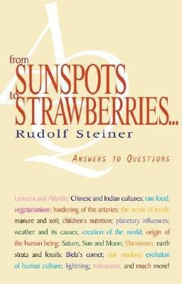 From Sunspots to Strawberries(English, Paperback, Steiner Rudolf)