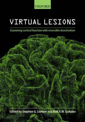 Virtual Lesions(English, Hardcover, unknown)
