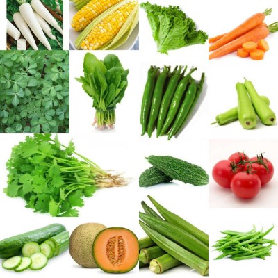 BEE Garden 15 Varieties of Vegetable & Fruits Seeds for Kitchen Garden - 200+ Seeds Seed(20 per packet)