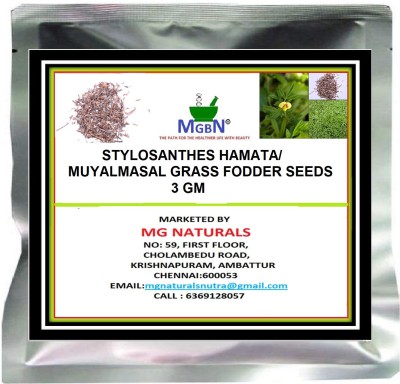 MGBN STYLOSANTHES HAMATA/MUYALMASAL GRASS FODDER SEEDS - 3 GM Seed(750 per packet)