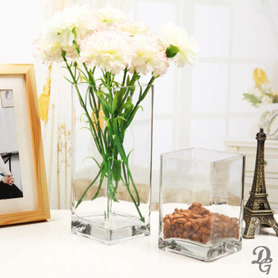 Decent Glass Glass Vase(6 inch, Clear)