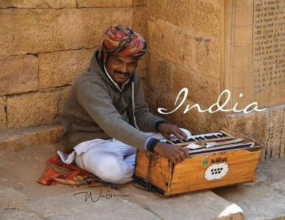 India(English, Paperback, Williams Walter)