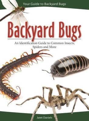 Backyard Bugs(English, Paperback, Daniels Jaret C.)