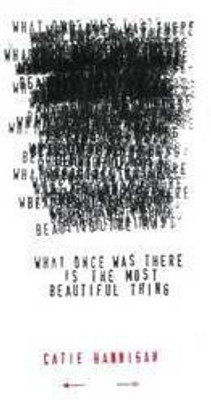 What Once Was There Is the Most Beautiful Thing(English, Paperback, Hannigan Catie)