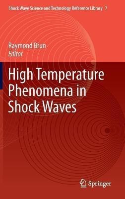 High Temperature Phenomena in Shock Waves(English, Hardcover, unknown)