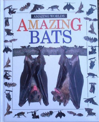 Amazing Worlds 13: Bats(English, Hardcover, Greenaway Frank)