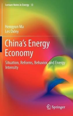 China's Energy Economy(English, Hardcover, Ma Hengyun)