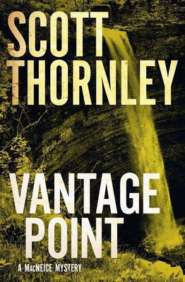 Vantage Point(English, Paperback, Thornley Scott)
