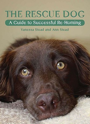 The Rescue Dog(English, Paperback, Stead Vanessa)
