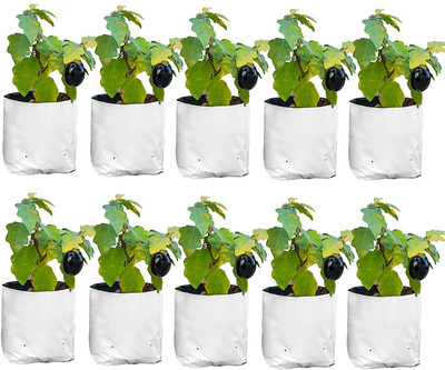 Anandi Greens 28x28x50 CM LDPE White Color UV Protected, Layer Poly Double Plastic Grow Bag