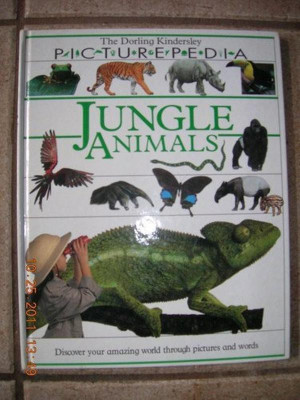Picturepedia 3: Jungle Animals(English, Hardcover, unknown)