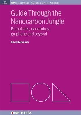 Guide through the Nanocarbon Jungle(English, Paperback, Tomanek David)